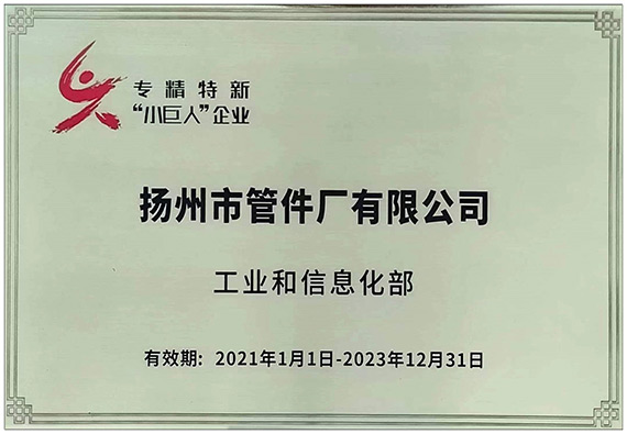 專精特新小巨人企業(yè)